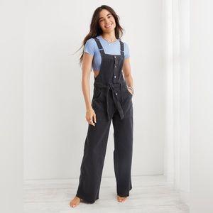 Aerie skater pant overalls